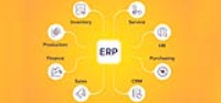 (Enterprise Resource Planning(ERP